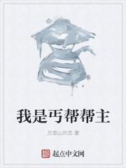 我是丐帮帮主免广告