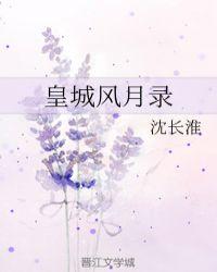 皇城风雨录