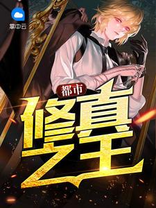 一部都市修仙的主角叶枫