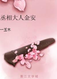 丞相大人金安讲什么