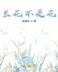 兰花的品种有哪些