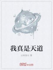 我真是天道怎么不更新了