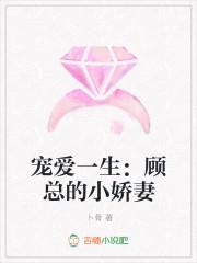 宠爱一生顾总的小娇妻