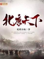 北唐天下 第47章