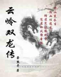 双龙传视频