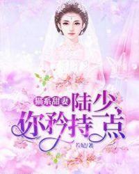 陆少和猫