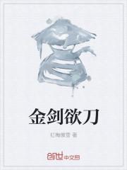 金剑惊云