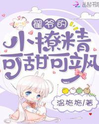 男主人公叫翟什么的
