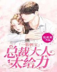 总裁大人一胎六宝电视剧