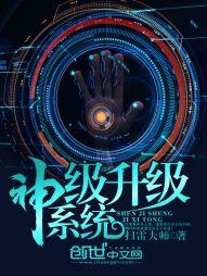 神级升级系统免费阅读全文