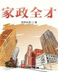家政aⅴ