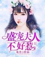 盛宠夫人是大佬