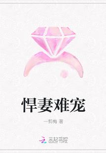 悍妻难宠云万里