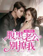 豪门宠婚腹黑老公呆萌妻