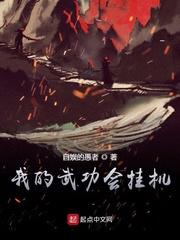 我的武功会挂机7878