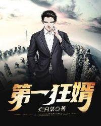 乱世狂婿在线阅读