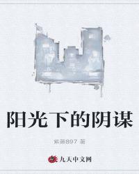 阳光下的阴谋剧情介绍
