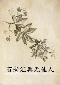 再无佳人2