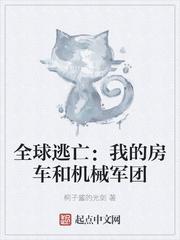 全球逃亡我的房车和机械军团20网