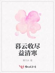 暮云收尽益清寒猜三个数字