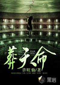 葬天命哪一本好看