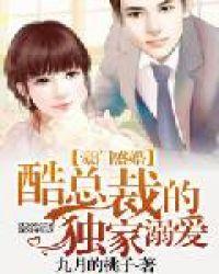 豪门盛婚酷总裁的独家溺爱 第1279章
