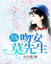 娇妻有点甜吻安莫先生txt