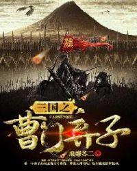 三国之曹家孽子