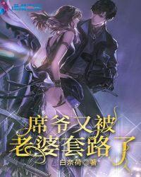 席爷又被老婆套路了免费阅读