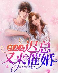 迟太太 今天又离婚了吗