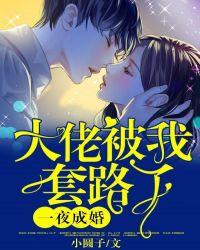 大佬宠妻套路深