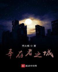 幸存者之城兑换码