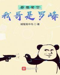 吞噬星空穿越罗峰