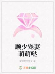 顾少独宠小萌妻