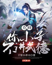 小伙子你不讲武德视频