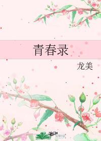 青春录记电视剧