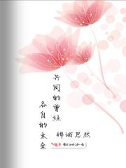 我们共同的未来提出什么概念