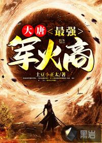 电视连续剧大唐天子李世民