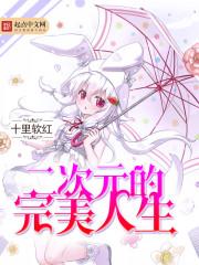 二次元人生