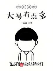 我的满级大号有点多百度百科