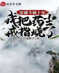 书名穿越斗破十年我把药尘戒指烧了