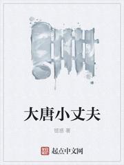 大唐小丈夫起点