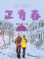 那些年青春四十主题曲