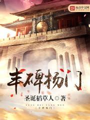 丰碑杨门TXT全集免费