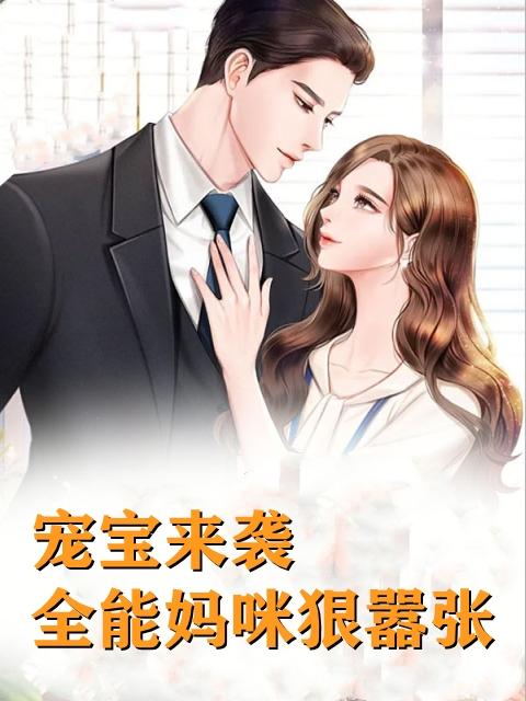 苏念司夜爵