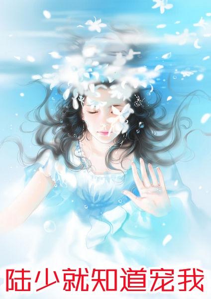 女主叫苏夏男主姓陆