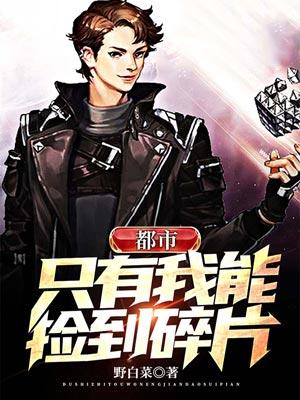 都市只有我能捡到碎片叶欢