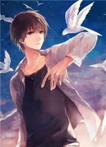 美女之高手无敌