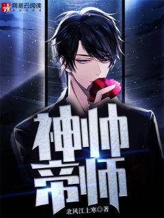 帝师神婿完整版