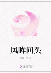 凤回头作者